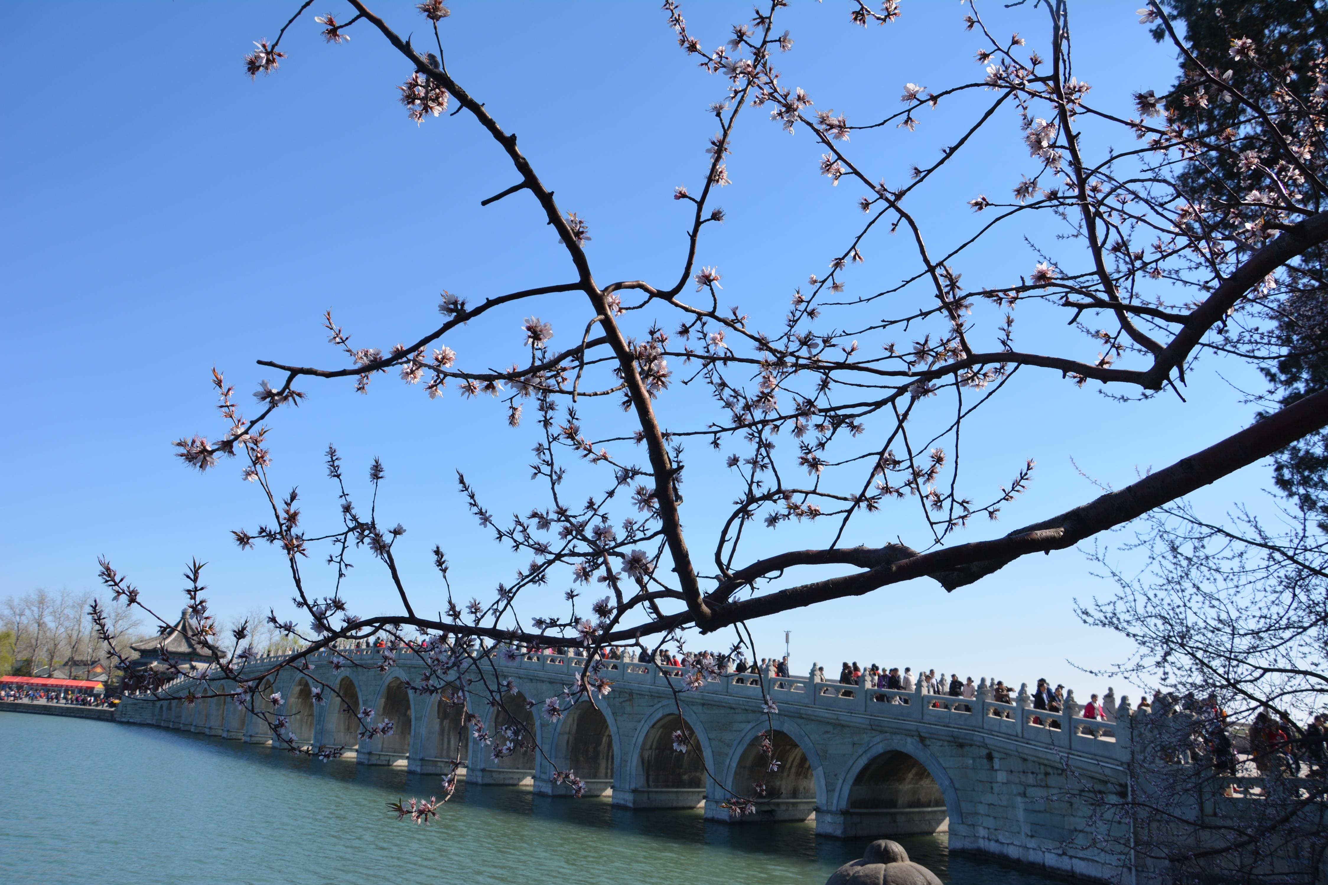 旅拍北京,颐和园踏春,满圆春色惹人怜