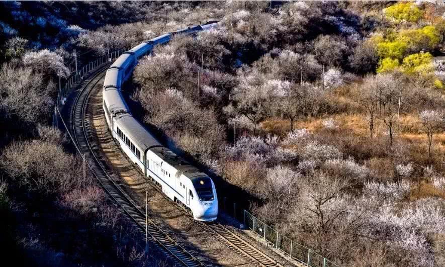 这个开往春天的列车s2线,拥有北京最长的赏花风景线!