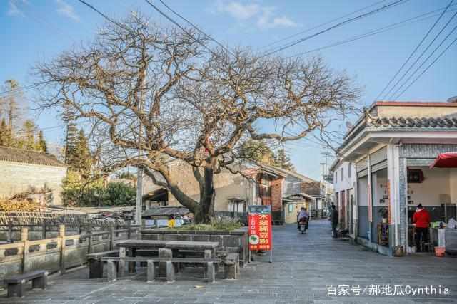 城阳董村多少人口_城阳仲村小学实景图