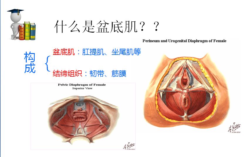 盆腔器官脱垂 腰酸背痛,阴道松弛,阴道壁膨出,严重者子宫脱垂 ◆性