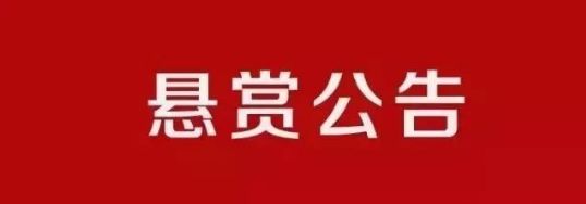 【注意】为了寻找这一男一女 呼和浩特玉泉区人民法院发布悬赏公告