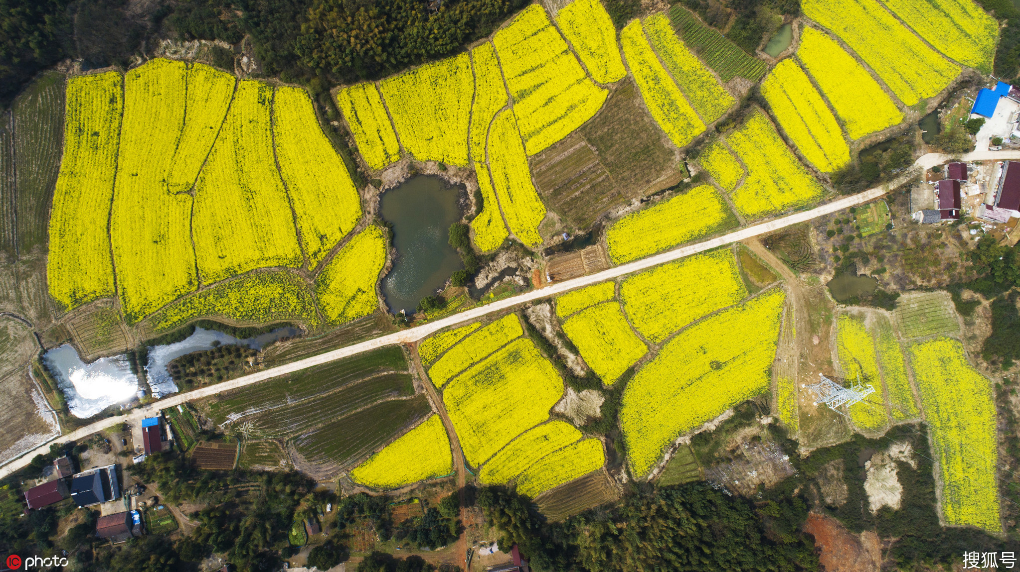 航拍郎溪县十字镇新和村 花海春光醉游人