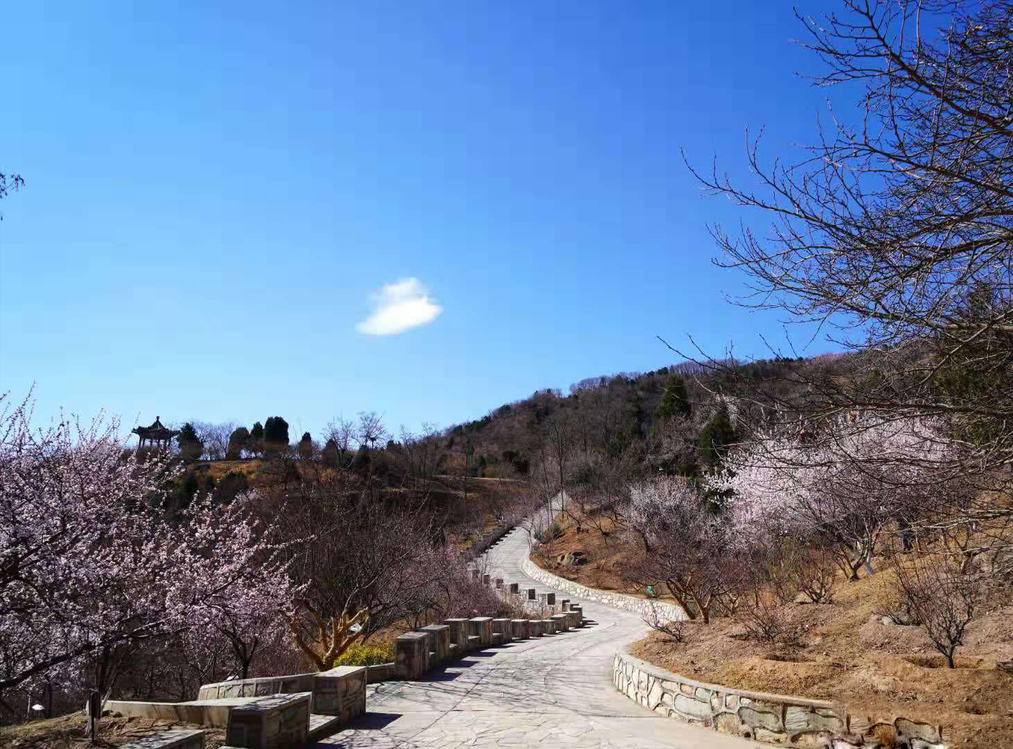 北京近郊这7个地方,有山有水有桃花,周末郊游值得去!