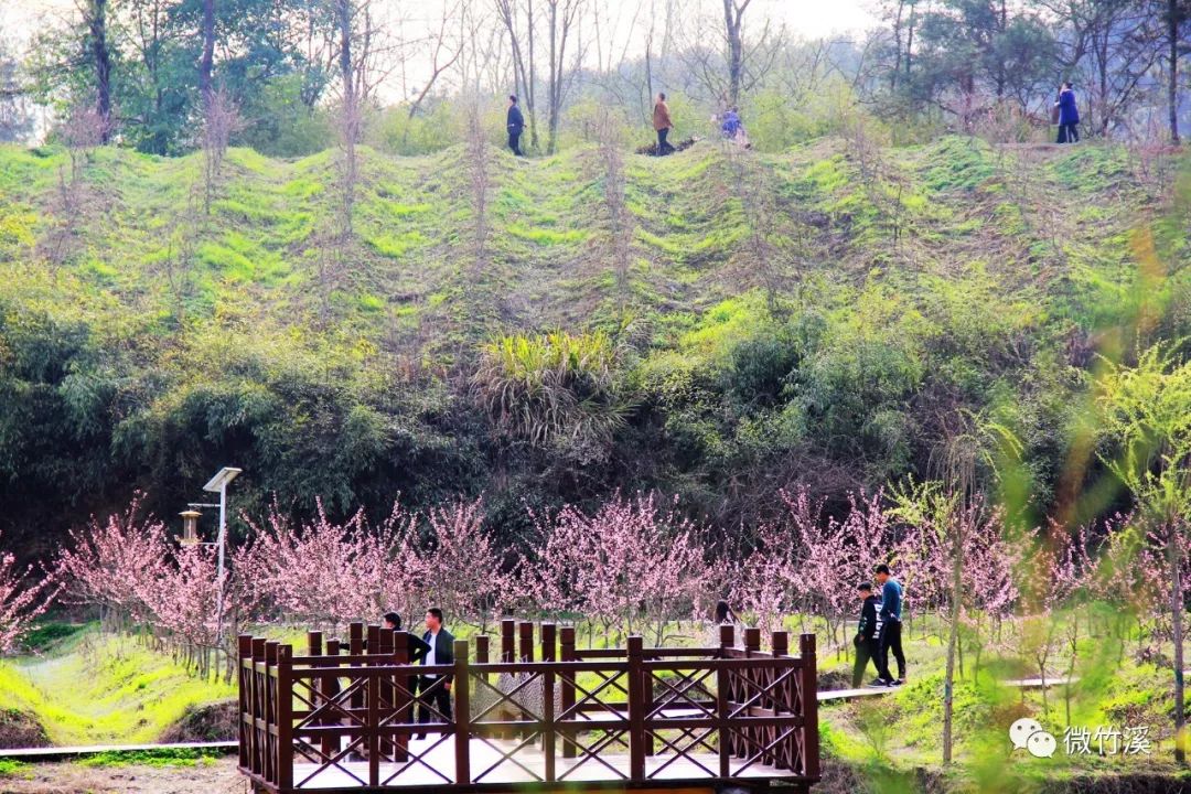 桃花岛上桃花开,如织游客踏春来!_竹溪