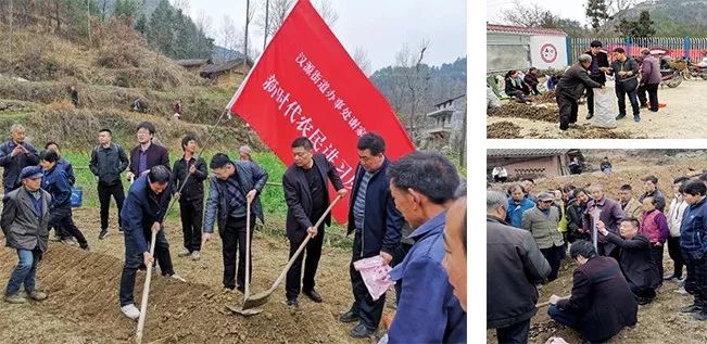 近日,勉县茶店镇长坝村贫困农民在村股份经济合作社的带动下,抢抓春季