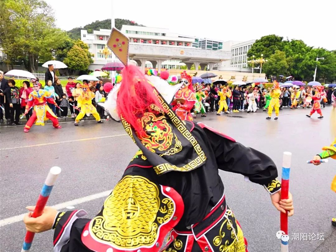 今天,潮阳人"大闹"濠江双忠圣王巡游!_达濠