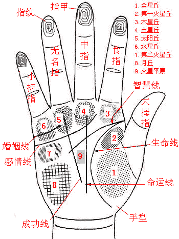 索南易学:男左女右,教你手相看命,很准!