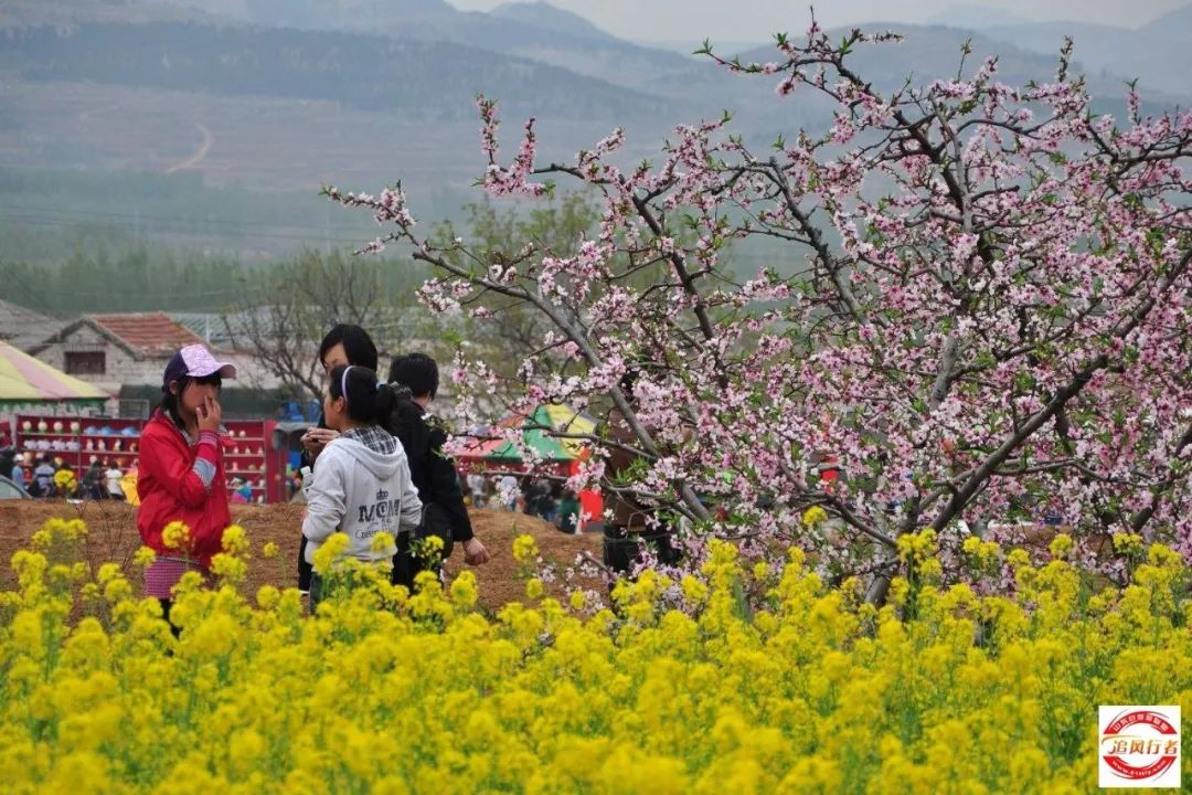 2019年3月31日肥城万亩桃园十里桃花1日游招募