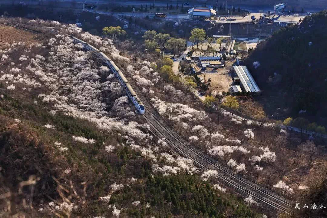 这个开往春天的列车s2线,拥有北京最长的赏花风景线!