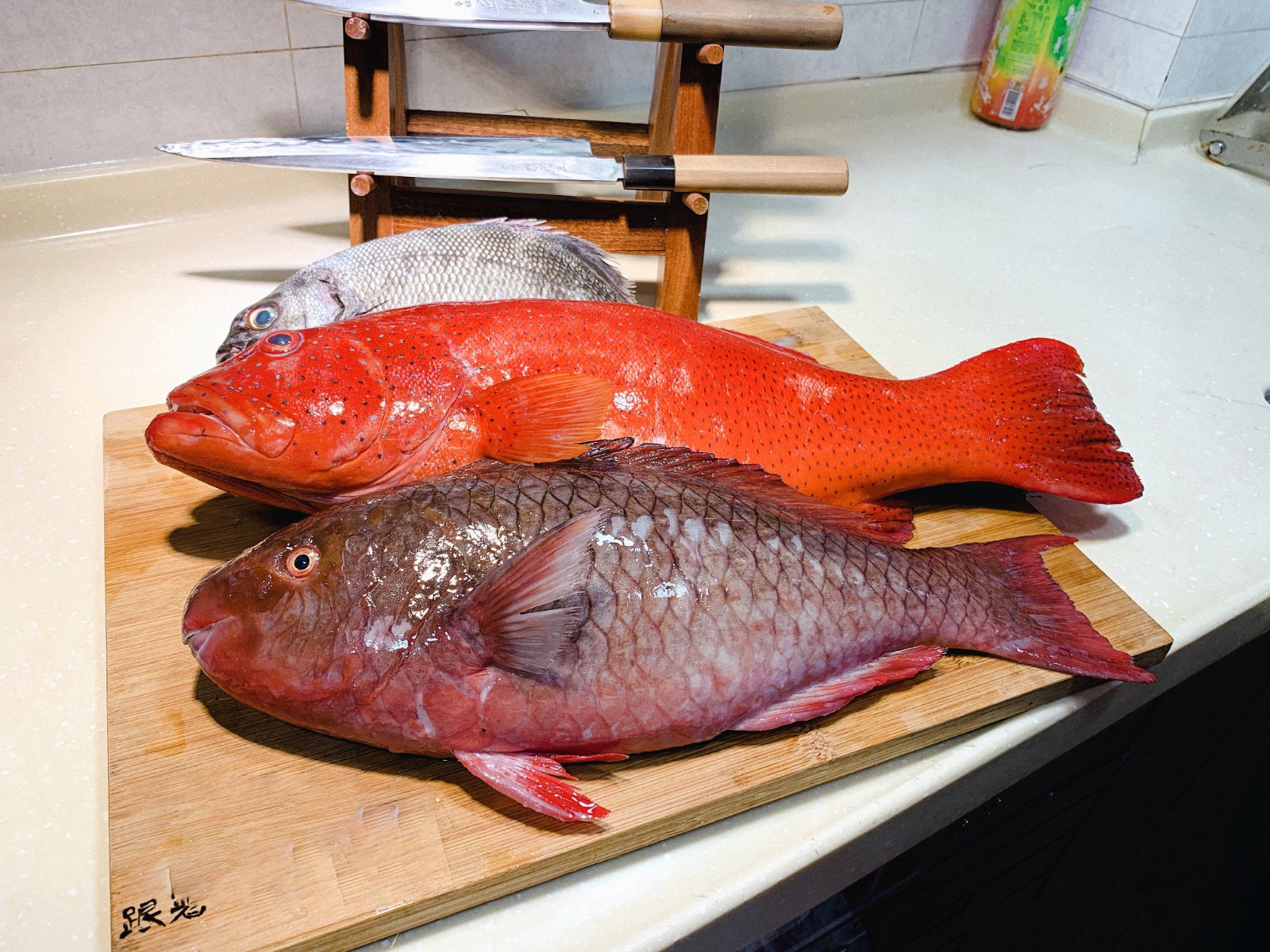 常见/常吃的海鱼品种（适合作为主菜的8种海鱼） - 化蝶巷