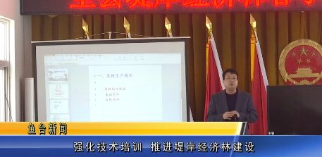 李阁镇GDP(2)