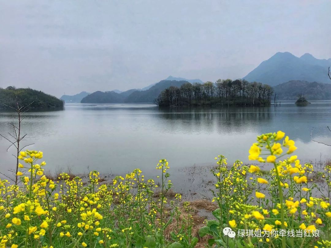 浦江通济湖的春天景色