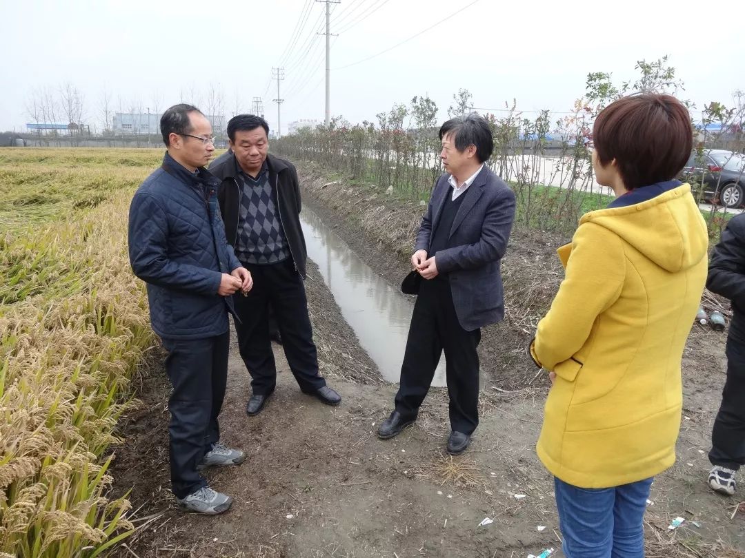 市农业农村局局长毛正球的新年小目标奋力打造乡村振兴的泰州样板