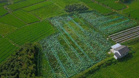 养殖场用地算人口用地_养殖场设施用地草图