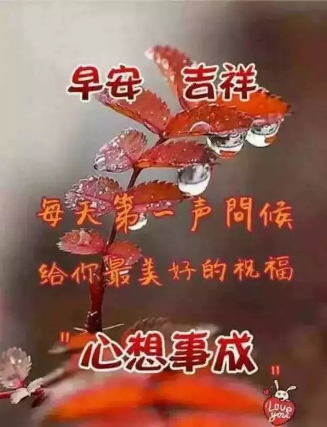 群发特别漂亮的早上好图片发朋友圈,早上好问候语动画