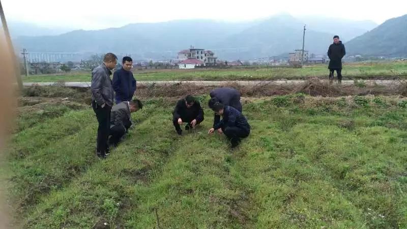 西阳邱村人口_月城镇西头村人口照片(2)