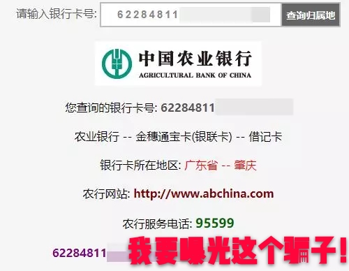 广东本地人口有多少人_广东外来人口最多的城市,当地人口不到三百万外来人口