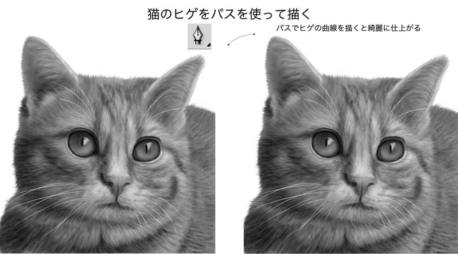 怎么画猫比较简单？快速学会画喵星人！