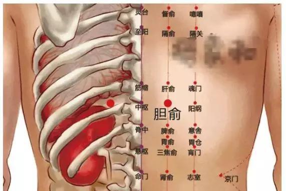 成语什么入什么盲_成语故事图片(3)