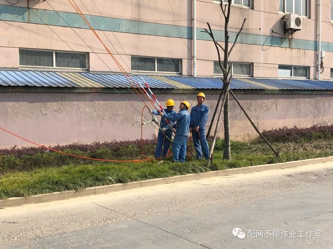 绝缘绳通过新电杆横担上安装的两轮滑车(一主一备)分别与安装在导线上