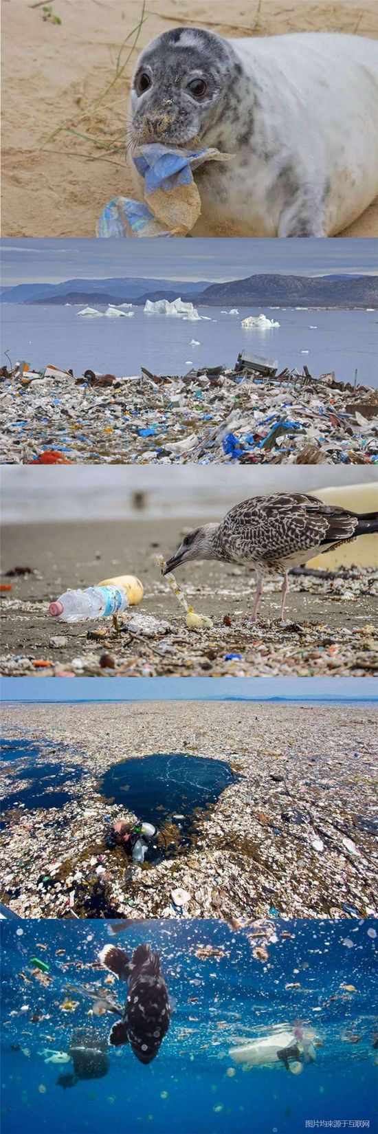 地球海洋所面临灾害现状