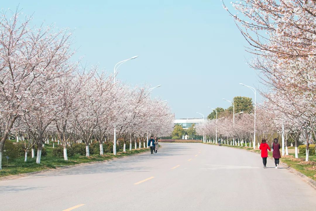 中国药科大学日本宣讲会