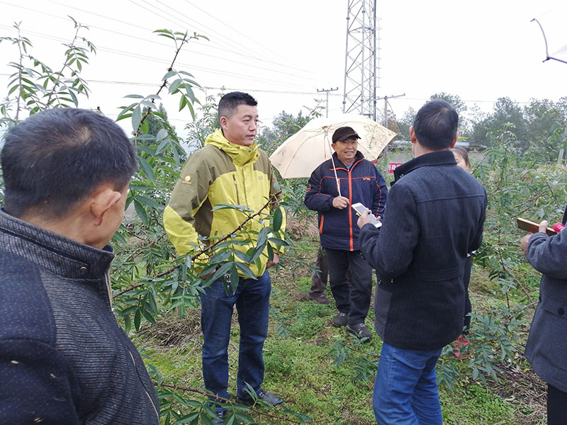 禄市镇人口_华蓥市禄市镇小学罗伟