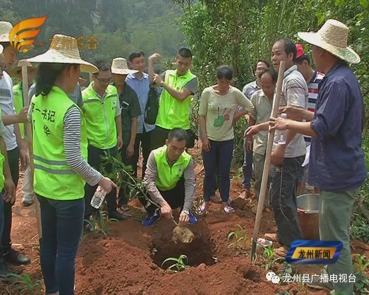 泸定沈村人口_泸定铁索桥图片(2)