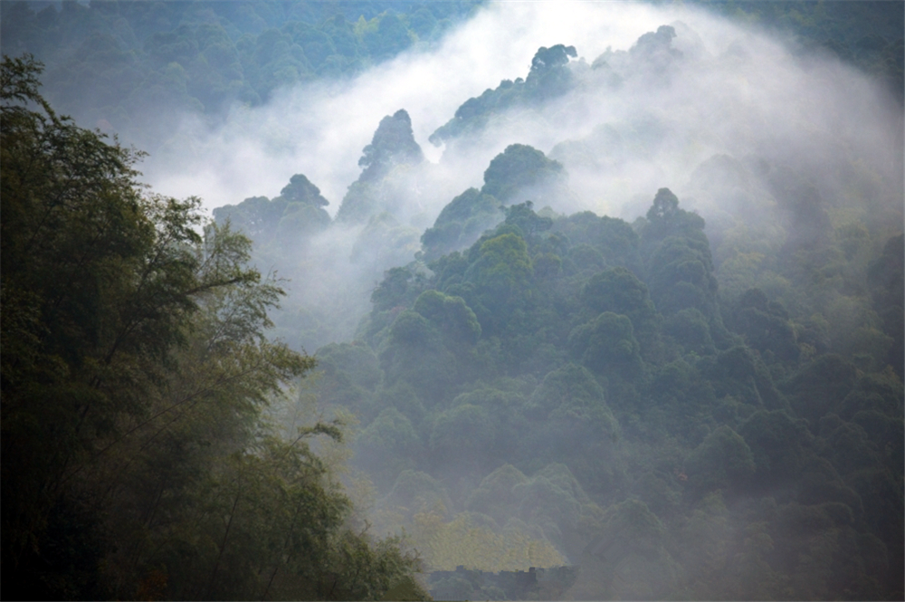 铜钹山人口_铜钹山照片(2)