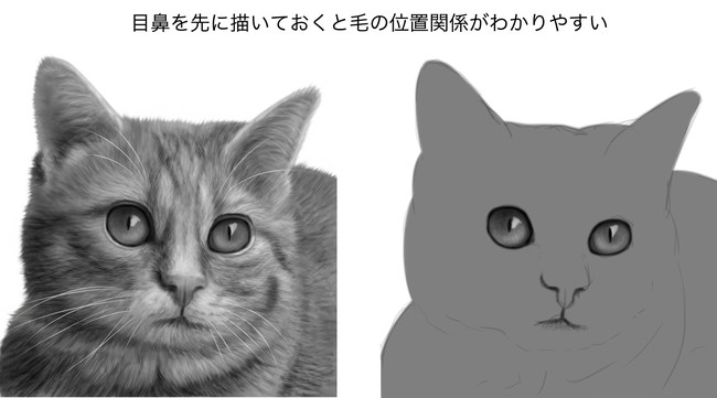 怎么画猫比较简单？快速学会画喵星人！