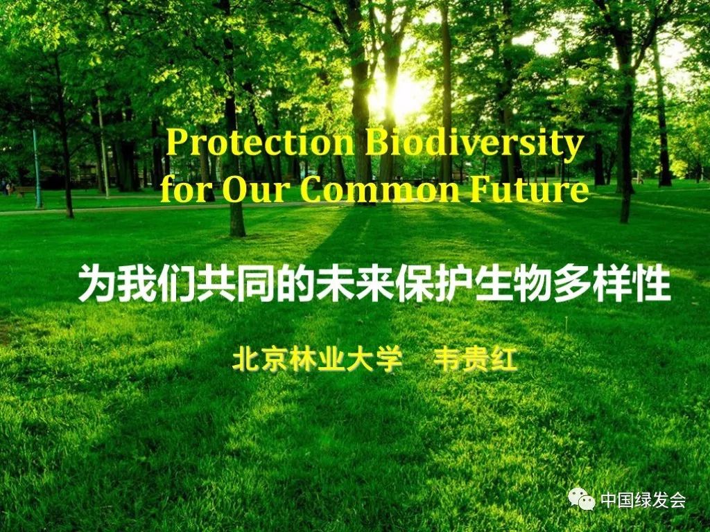 韦贵红企业在生物多样性保护中发挥不可替代的重要作用粮农遗传资源