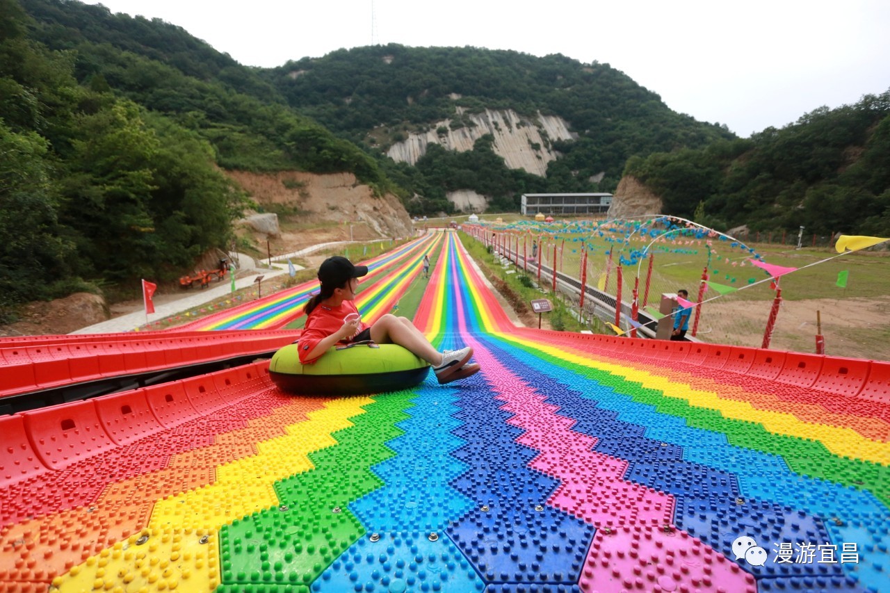 相约畔岛,寻觅芝樱!宜昌首届芝樱花节明日在知音畔岛举行!