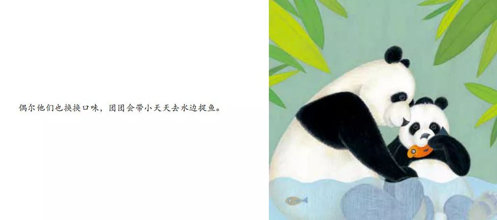 【中文有声绘本】《熊猫》