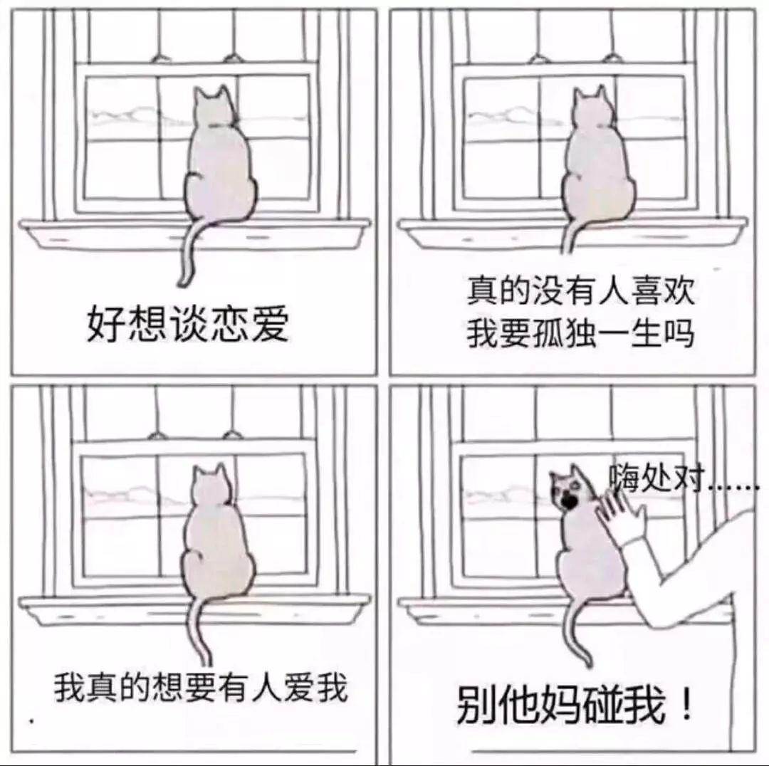 哪些星座最喜欢口嗨型恋爱