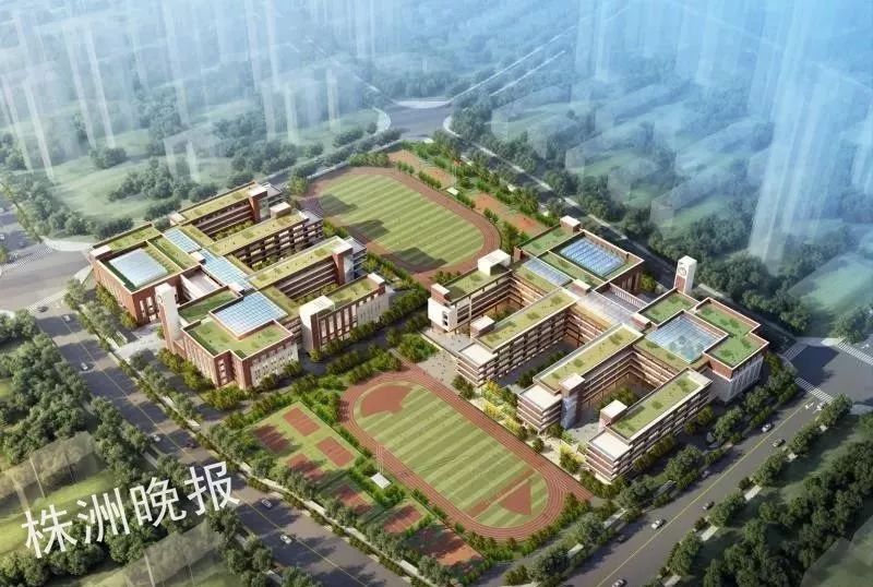 株洲明年跟大班额说拜拜公办幼儿园要占一半多所学校将建成