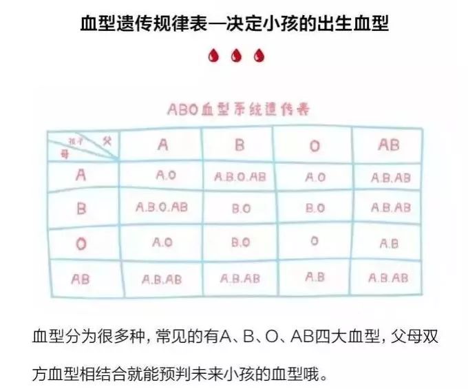 遗传| 宝宝血型遗传的秘密_孩子