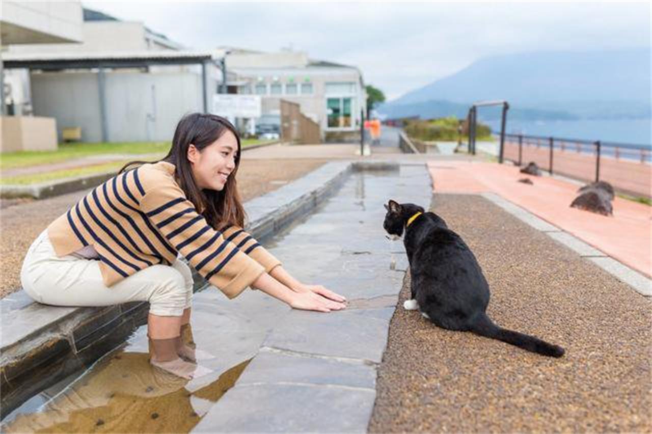 原創
            貓咪晚上都在幹嘛？貓咪活動很簡單，而且行為令人感動 寵物 第4張