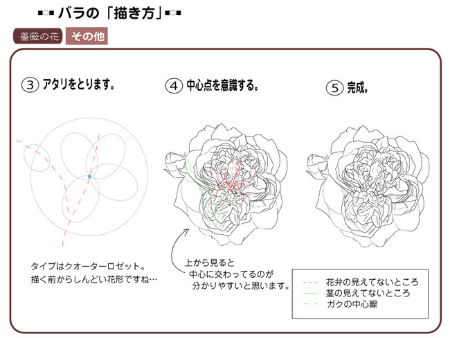 各种花的简单画法，一步一步教你画鲜花