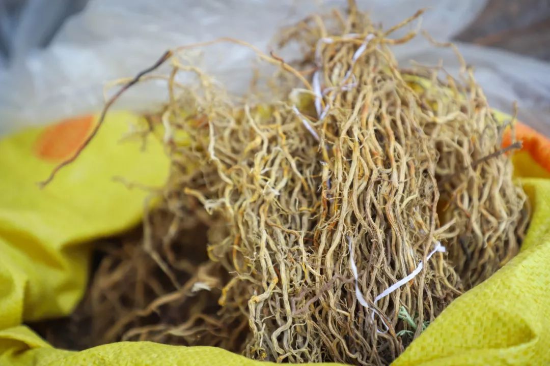 休闲小食: 乡镇才有的"野味"  客家草药根 鸭掌草 鱼腥草 黄脚鸡