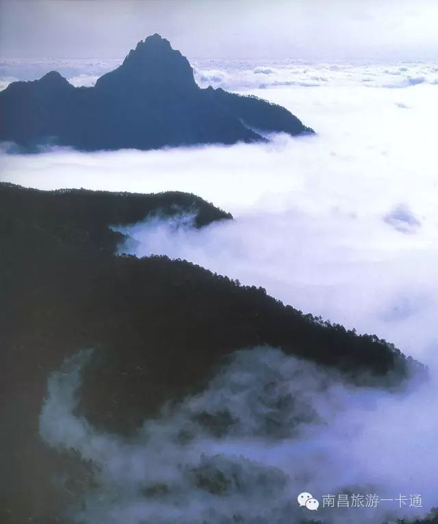 武宁神雾山门票70元 经过几场淅淅沥沥的春雨 武宁的天气渐渐恢复晴朗