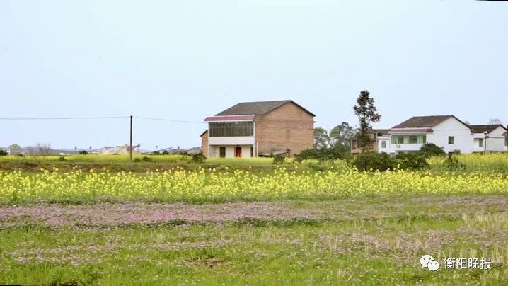 衡东县草市镇(老街)/桐桥村(油菜花基地)即可不要羡慕别人家古镇衡东