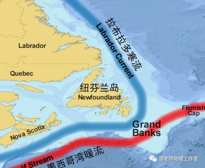 从渔场成因角度分析纽芬兰渔场的消失附考点设计