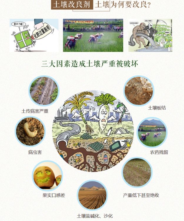 年产5000吨微生物土壤修复菌剂项目可行性研究报告 编制要点案例