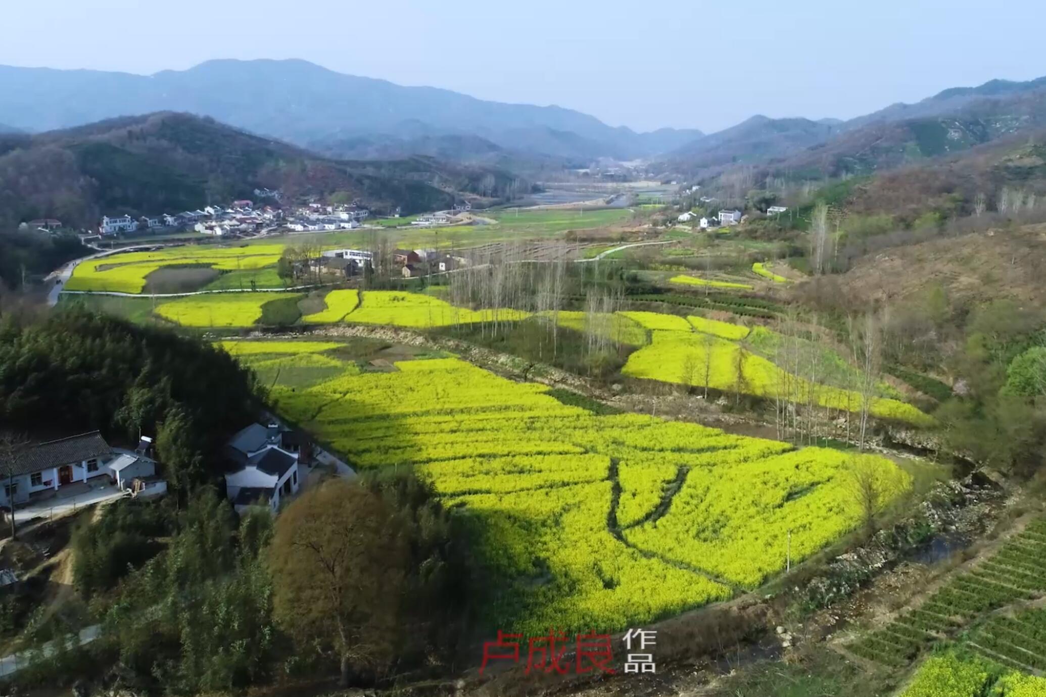 乡村振兴看信阳—似诗如画袁冲村