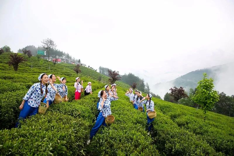 清明去紫阳登山望远看水游船品茶问道享受美食