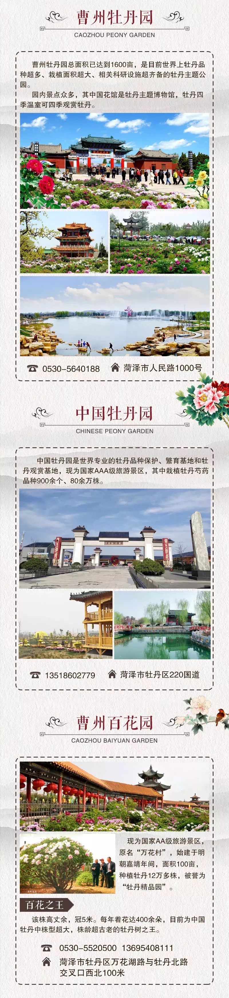 菏泽,曹州牡丹园,中国牡丹园,古今牡丹园,曹州百花园,天香公园,尧舜