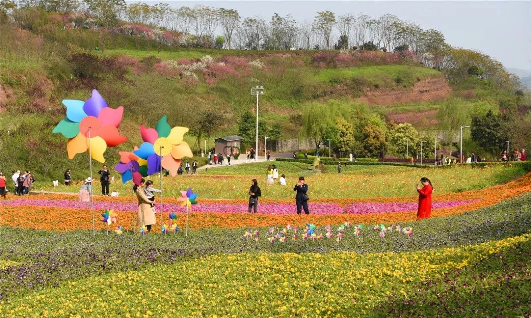 【推荐】春到鼎山公园,山花烂漫等你来