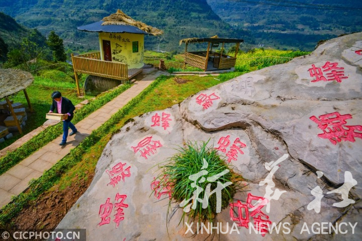 綦江区中峰镇人口_綦江中峰镇龙山水库(3)