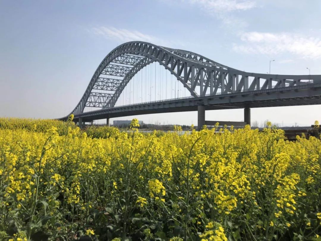 3月26日,由中铁大桥局承建的襄阳新六两河大桥(原名苏岭山大桥)正式