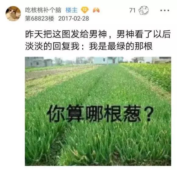 沙雕图网红不火后竟惨遭